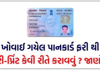 How to Reprint Pan Card online