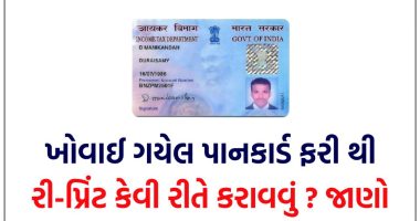 How to Reprint Pan Card online